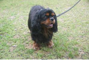 Jean Pierre GUERIN - AMPLITUDE-PHOTO