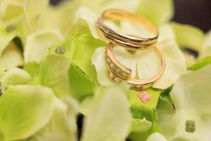 Thierry POTVAIN - THIERRY POTVAIN